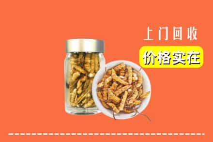 收购资讯:海门区回收散虫草