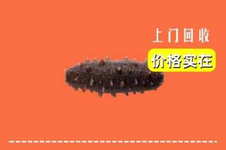收购资讯:海门区回收海参